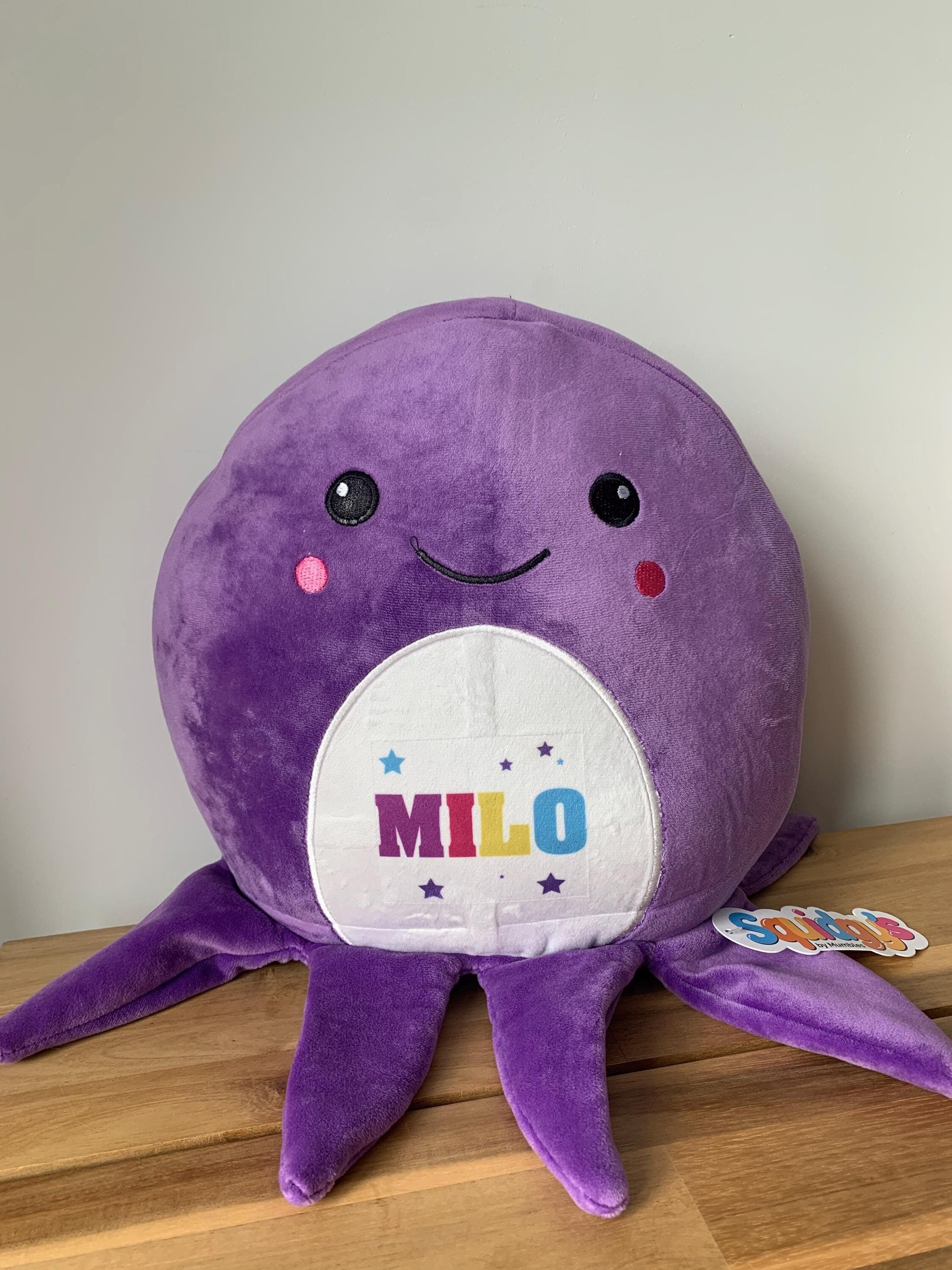 Personalised Squidgy Toy, Large Soft Toy, Custom Name Soft Toy, Personalised Kid Toy, Child Soft Toy, Octopus Teddy, Octopus , Big Soft Toy