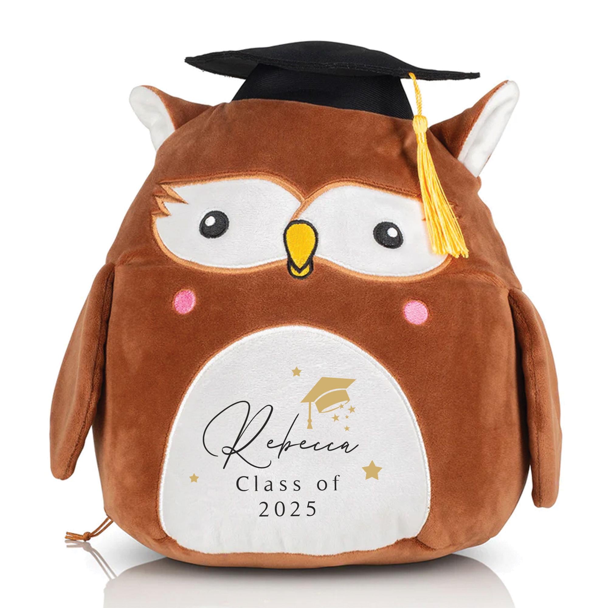 Personalised Graduation Owl Teddy, Graduation Gift, Graduate Memento Gift, Meaningful Graduate Gifts, Graduate Soft Toys Custom Name,