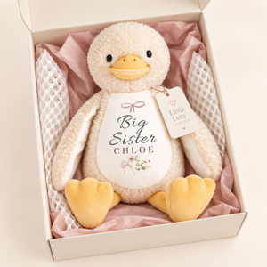 Personalised Big Sister duck plush presented in Little Lucy cream gift packaging with blush tissue