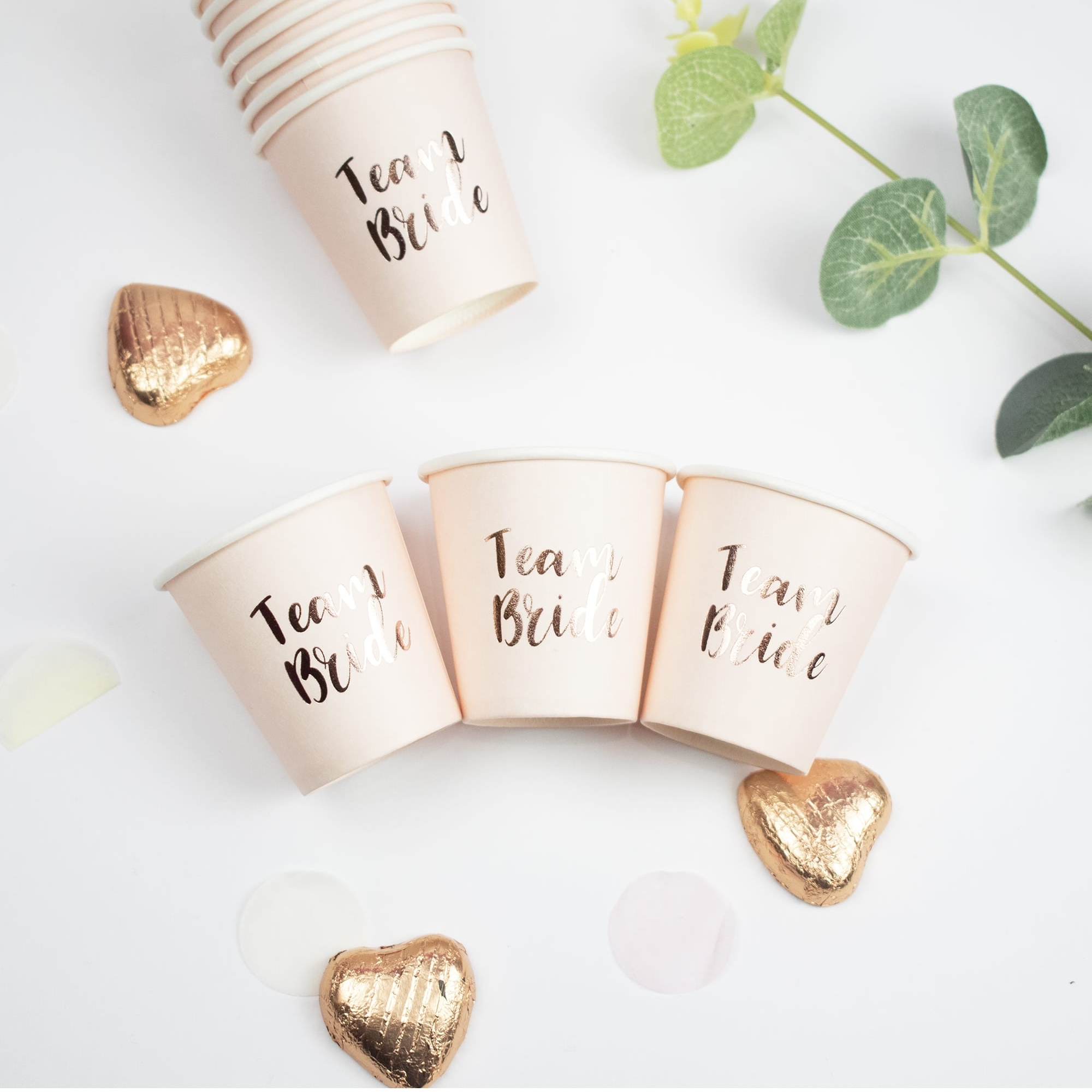 Rose Gold Team Bride Shot Cups (10 Pack)