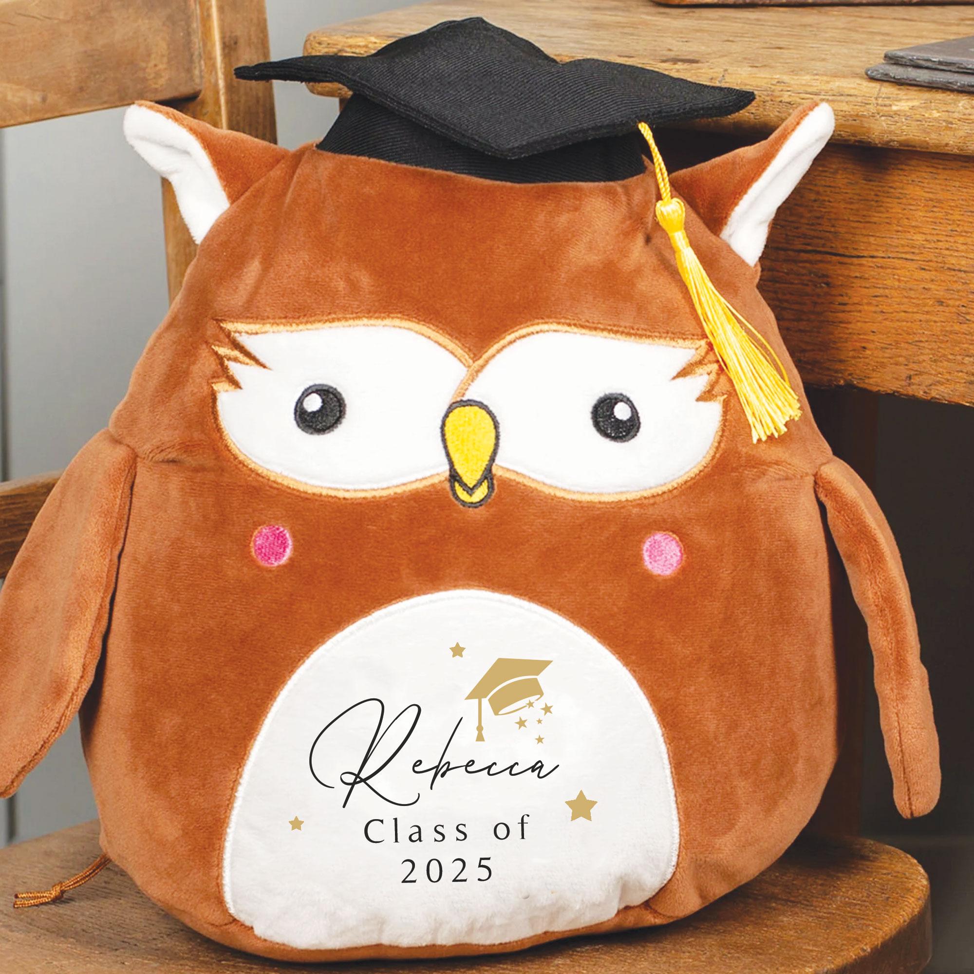 Personalised Graduation Owl Teddy, Graduation Gift, Graduate Memento Gift, Meaningful Graduate Gifts, Graduate Soft Toys Custom Name,