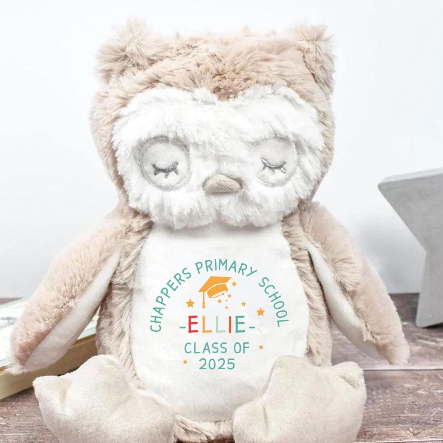 Personalised Graduation Preschool Teddy, Primary School Graduation Gift, Preschool Graduate, School leavers Gift, School Leavers Teddy,