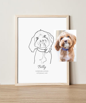 Framed line drawing of a dog with a photo of a real dog on a white wall.