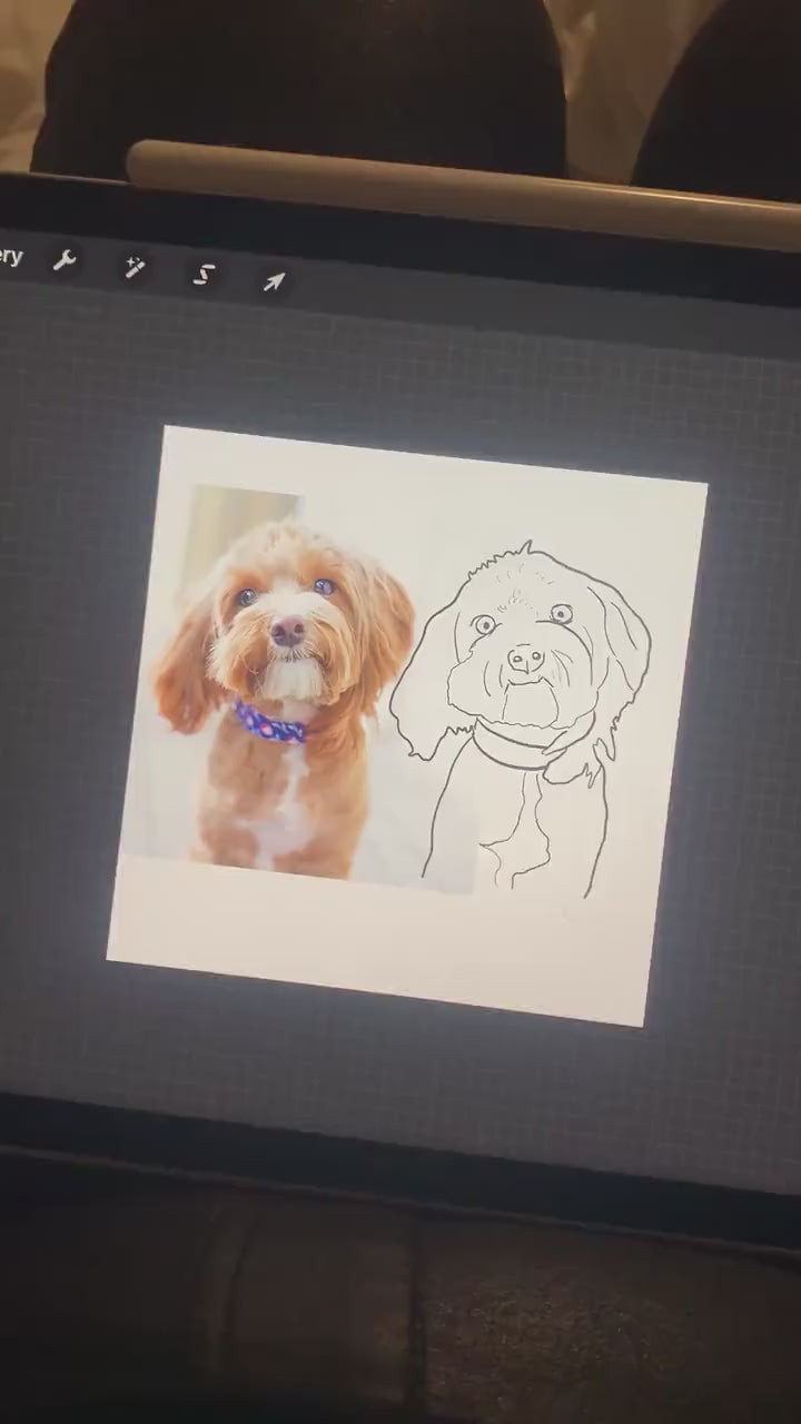 Video of a dog being drawn on an ipad