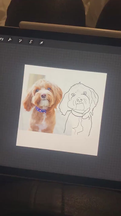 Video of a dog being drawn on an ipad
